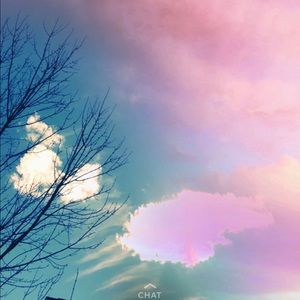 Meet your Posher, Lindsey